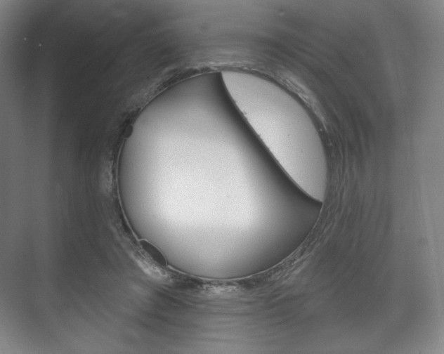 X0000075830401200609150851