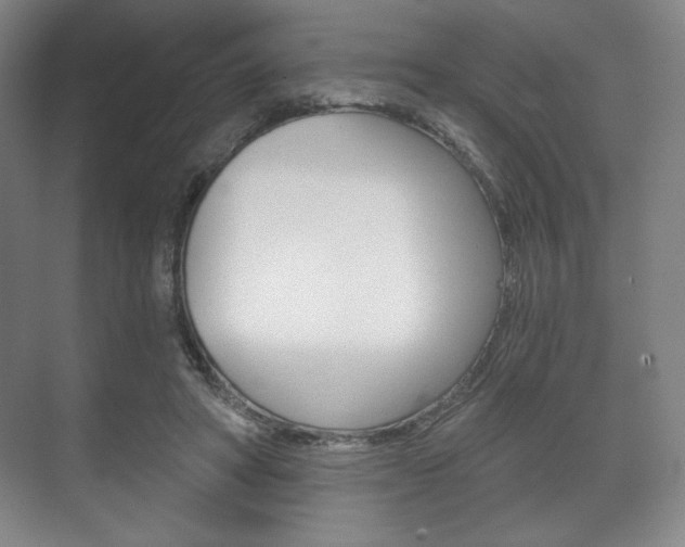 X0000075830402200609150851