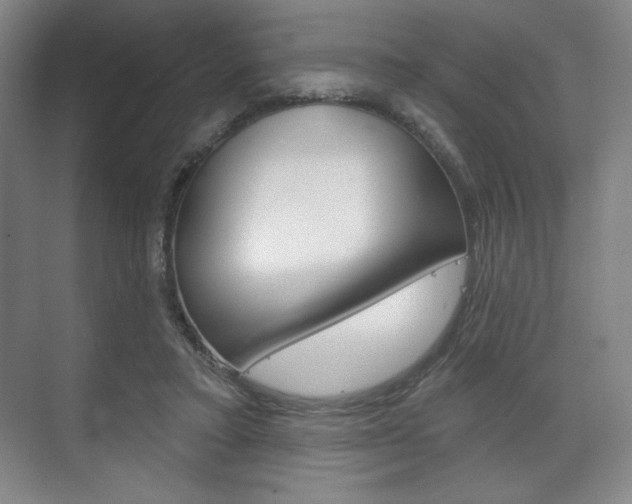X0000075830403200609150851
