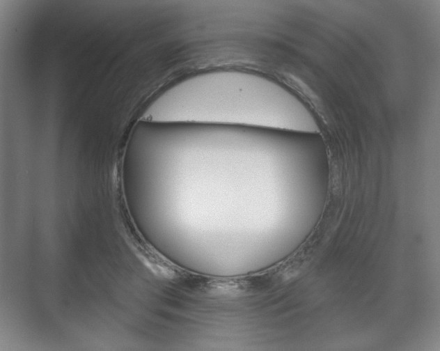 X0000075830405200609150851