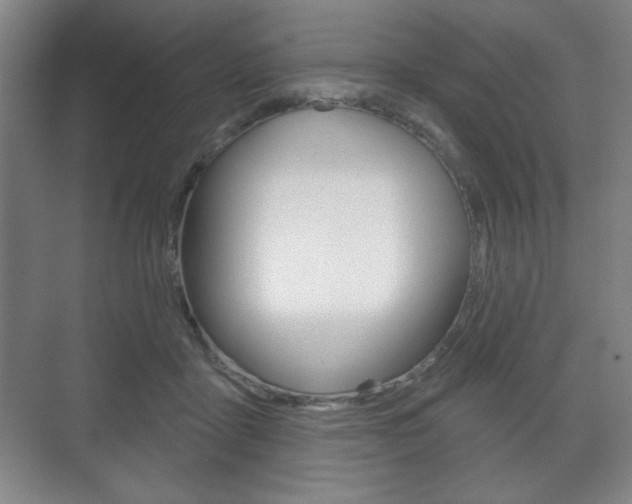 X0000075830411200609150851