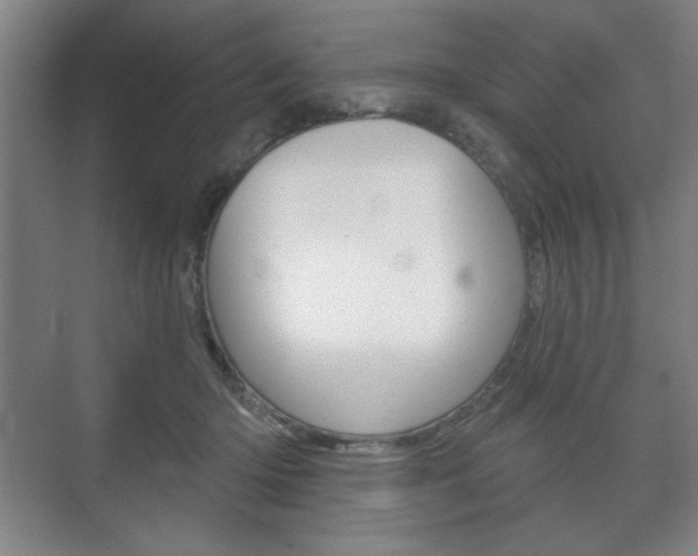 X0000075830414200609150851