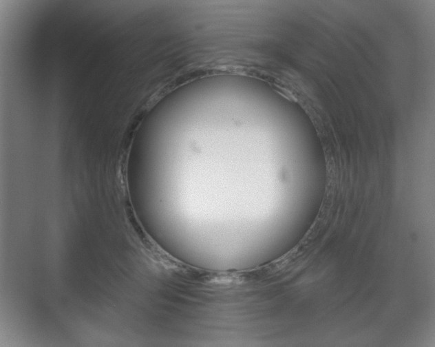 X0000075830415200609150851