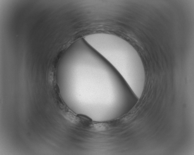 X0000075830417200609150851