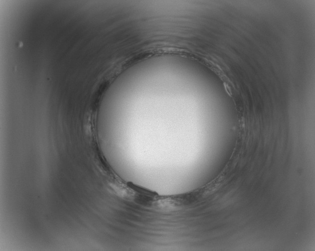 X0000075830423200609150851