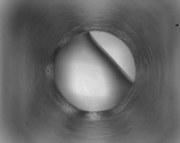 X0000075830425200609150851