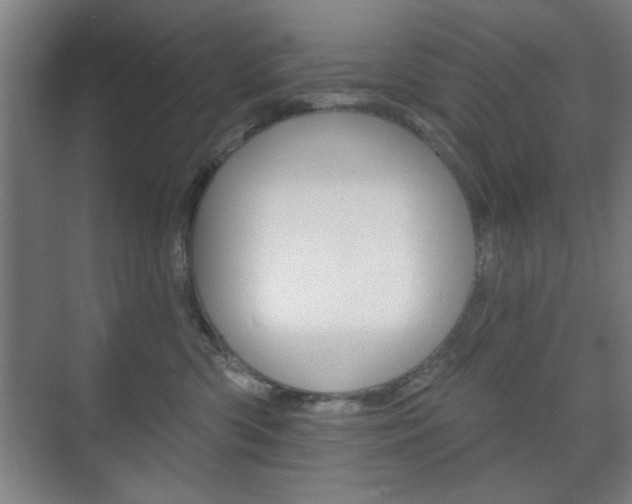X0000075830426200609150851
