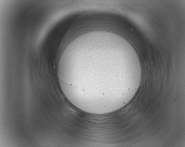 X0000075830431200609150851