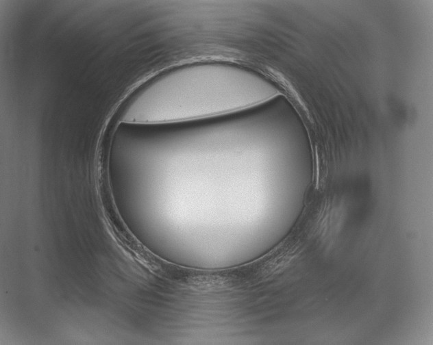 X0000075830435200609150850