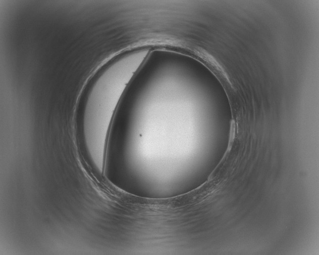 X0000075830436200609150850