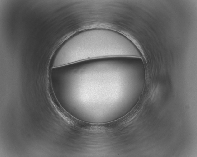 X0000075830437200609150850