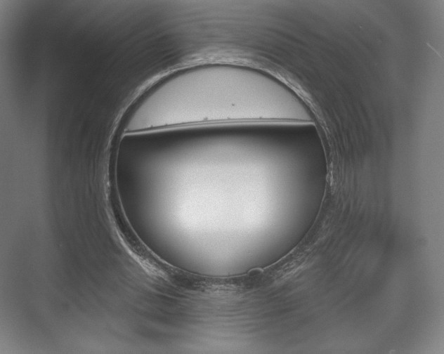 X0000075830438200609150850