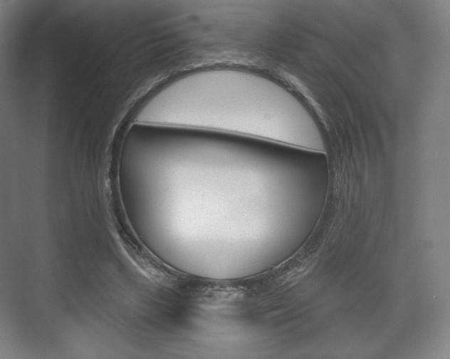 X0000075830443200609150850