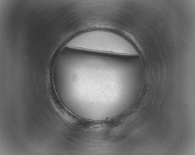 X0000075830447200609150850