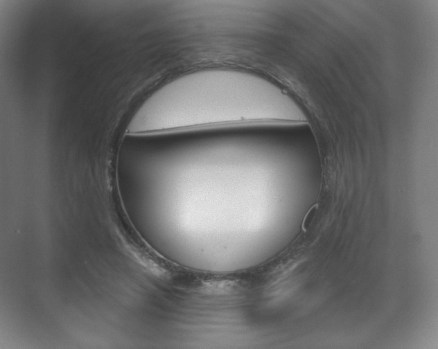 X0000075830450200609150850