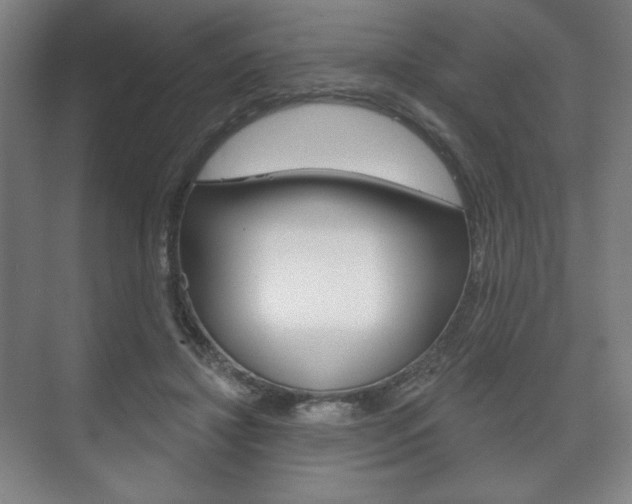 X0000075830452200609150850