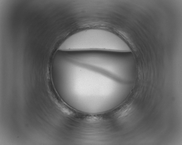 X0000075830453200609150850