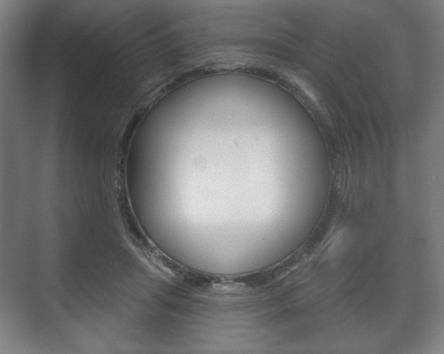 X0000075830455200609150850