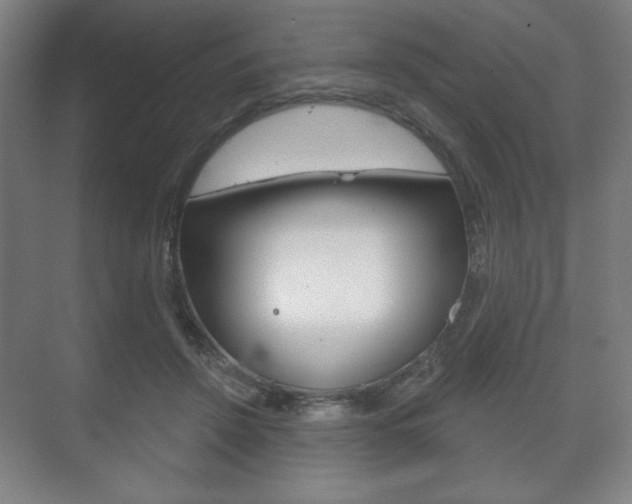 X0000075830456200609150850