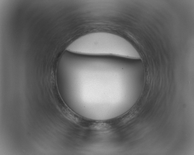 X0000075830459200609150850