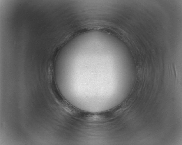 X0000075830460200609150850
