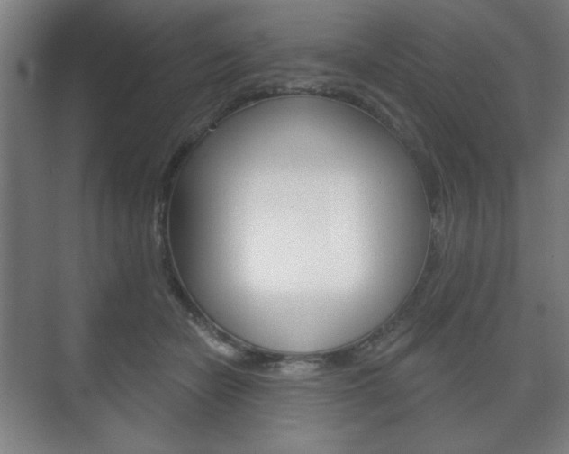 X0000075830462200609150850