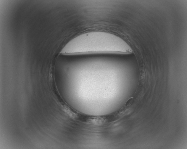 X0000075830466200609150850