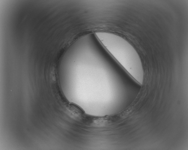 X0000075830470200609150850
