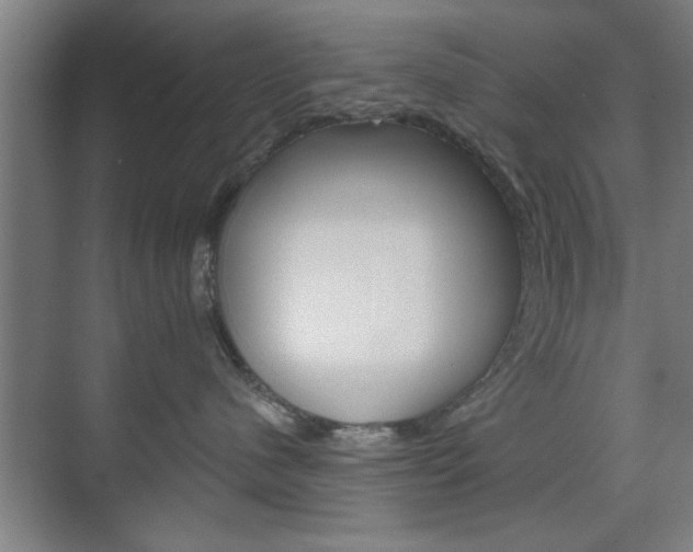 X0000075830480200609150850