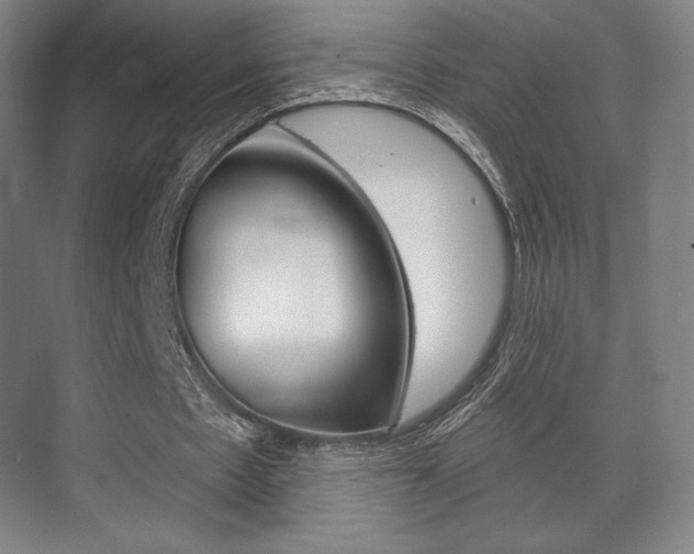 X0000075830481200609150850