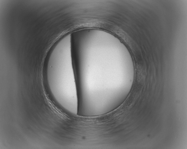 X0000075830482200609150850