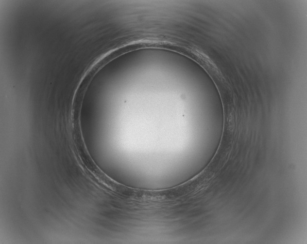 X0000075830484200609150850