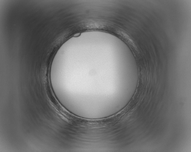 X0000075830490200609150850
