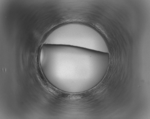 X0000075830491200609150850