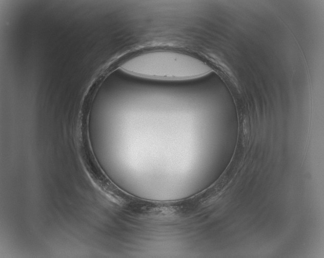 X0000075830492200609150850