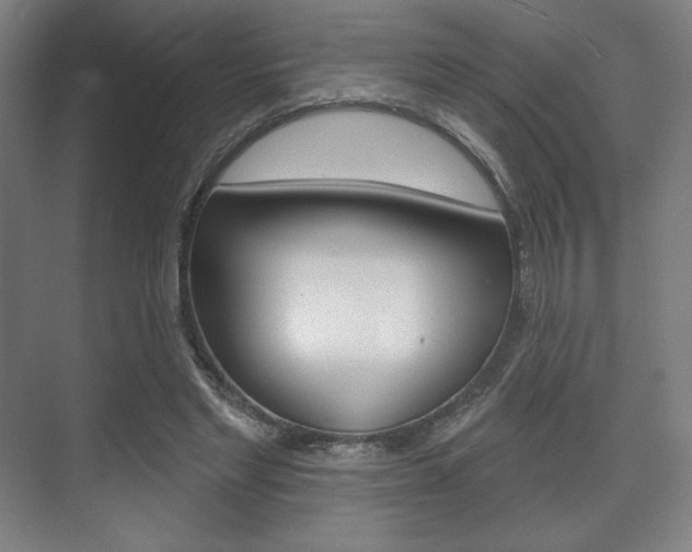 X0000075830493200609150849