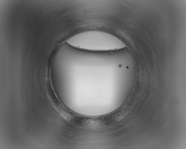 X0000075830498200609150849