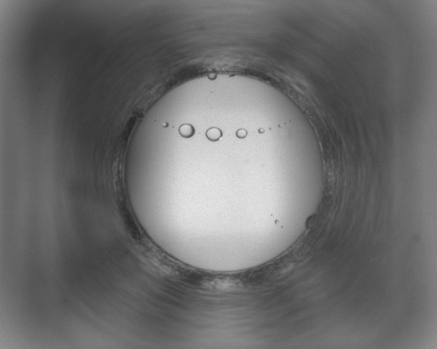 X0000075830503200609150849