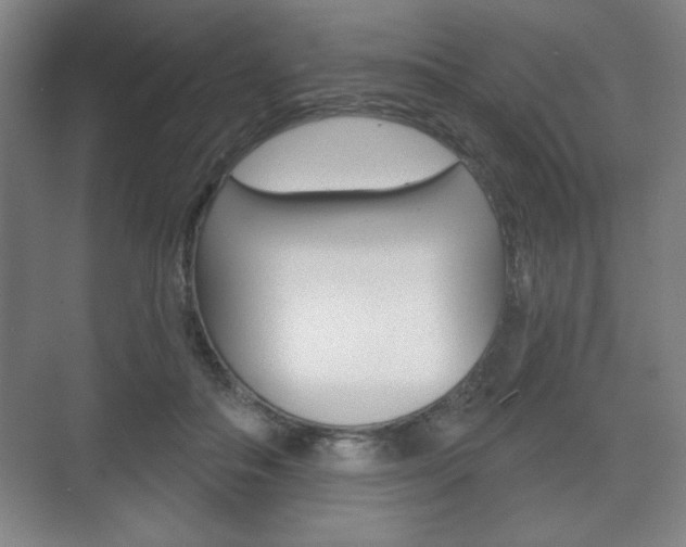 X0000075830506200609150849