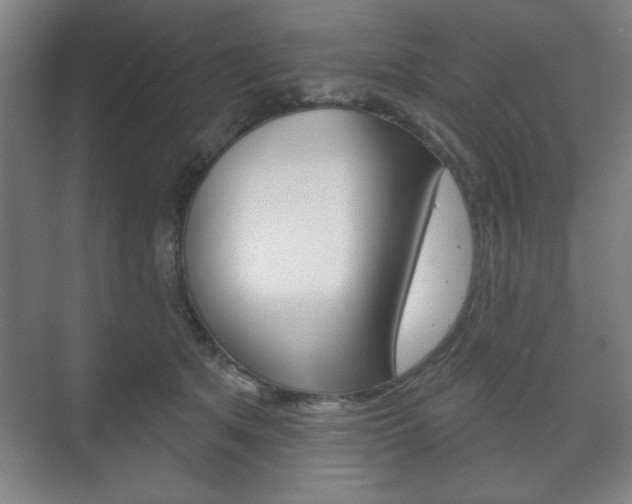 X0000075830513200609150849