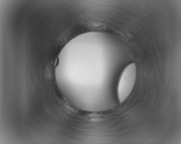 X0000075830515200609150849