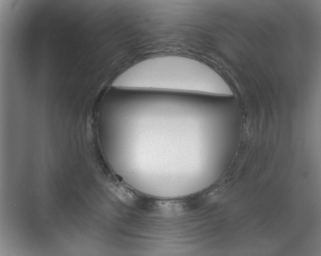 X0000075830520200609150849