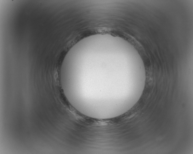 X0000075830523200609150849