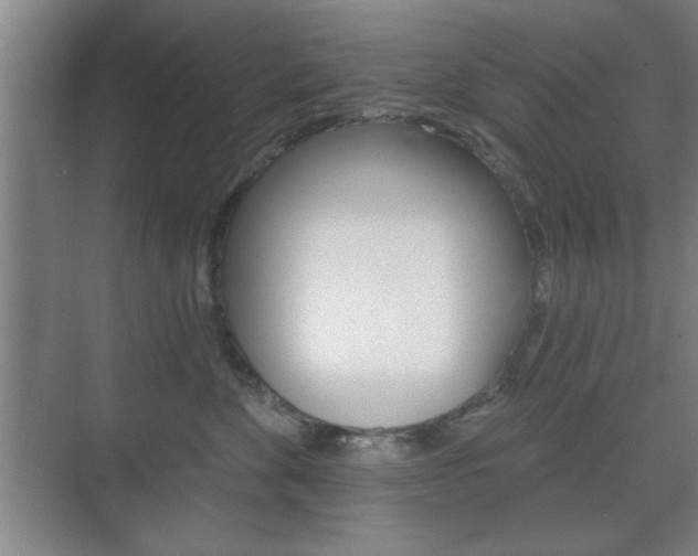 X0000075830524200609150849