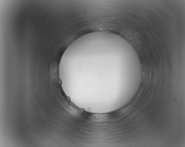 X0000075830526200609150849