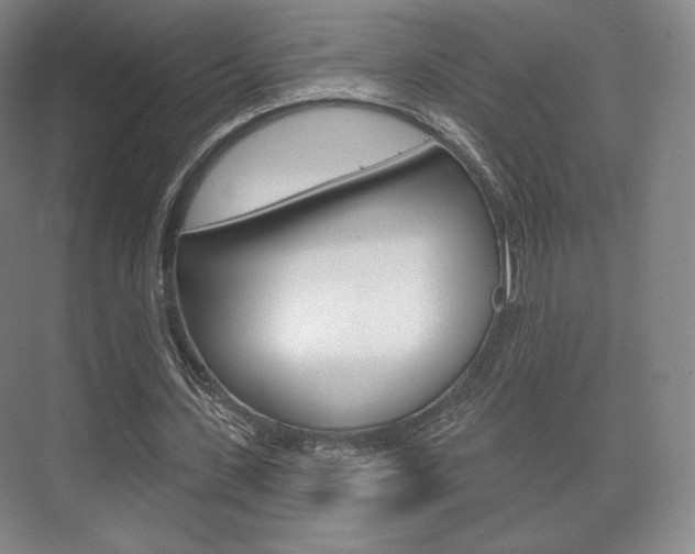 X0000075830531200609150848