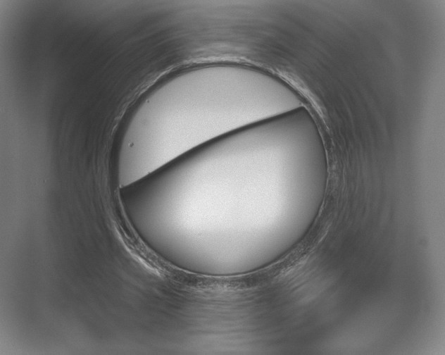 X0000075830533200609150848