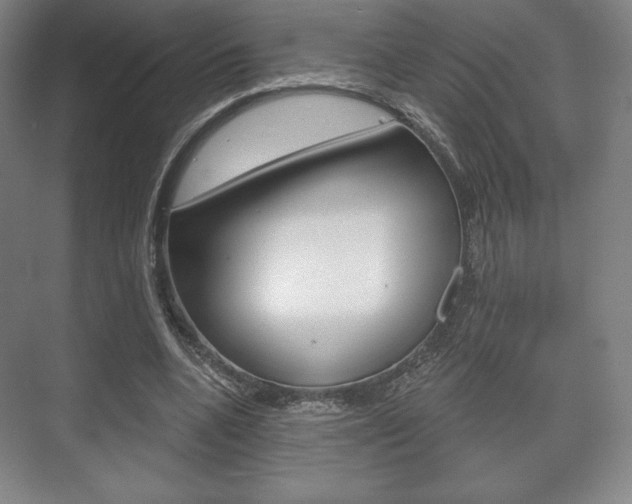 X0000075830536200609150848