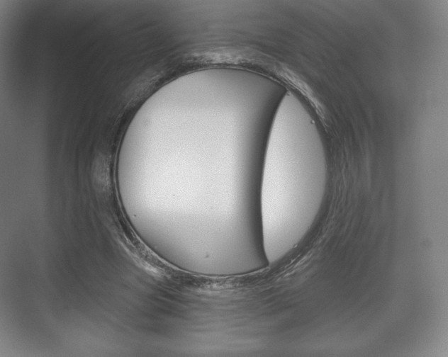 X0000075830537200609150848
