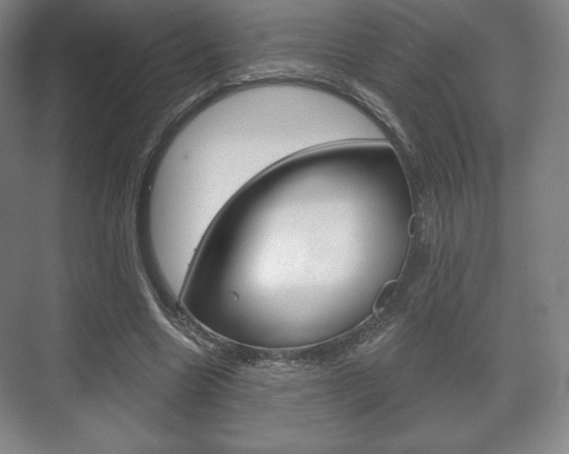 X0000075830538200609150848